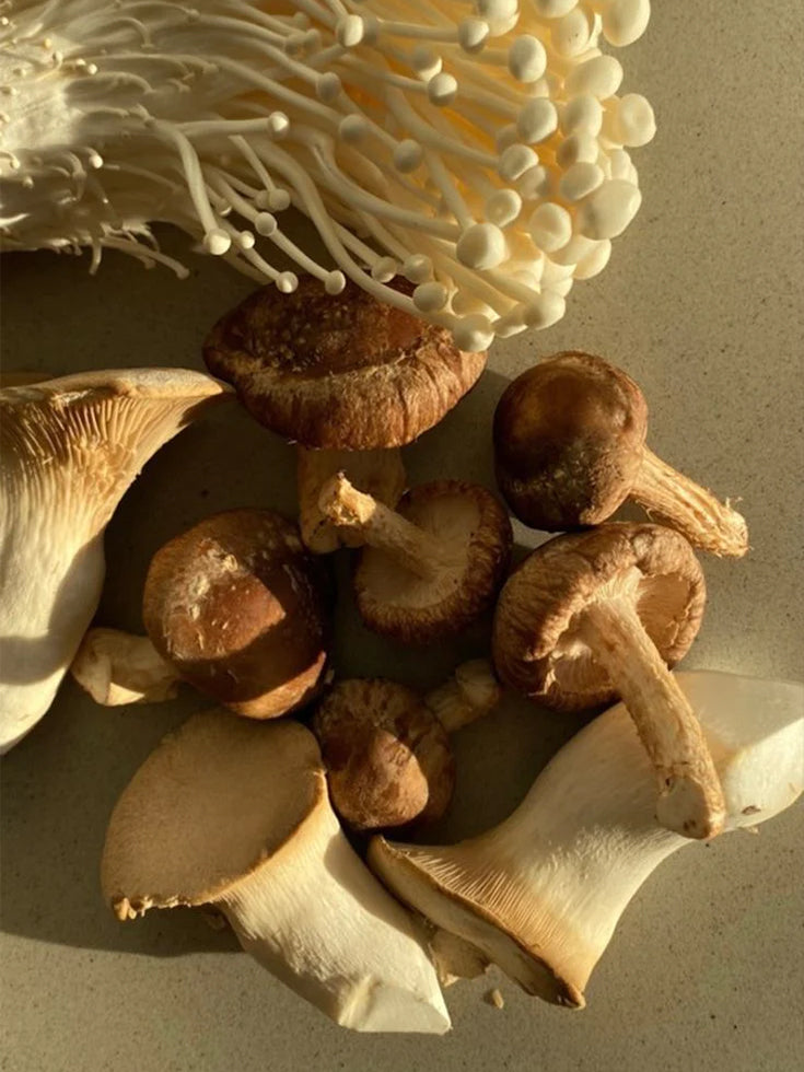 ¿Qué son los ADAPTÓPGENOS?